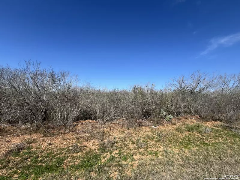 170 County Road 2667, Devine, TX 78016