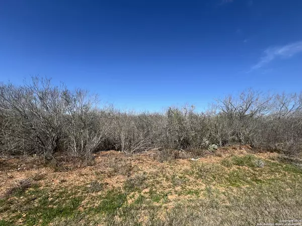 170 County Road 2667, Devine, TX 78016