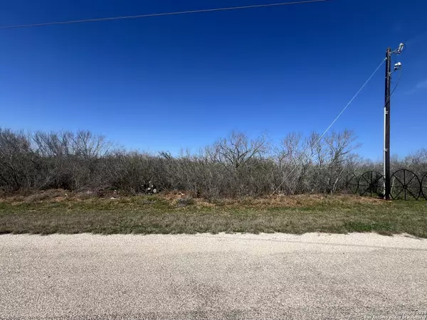 Devine, TX 78016,170 County Road 2667