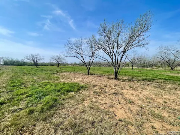 Jourdanton, TX 78026,TRACT 8 FM 1332