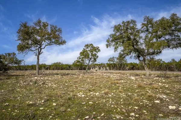 Boerne, TX 78006,LOT 40 Sotol Ln