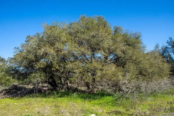 Sutherland Springs, TX 78161,+/- 10 ACRES County Road 332