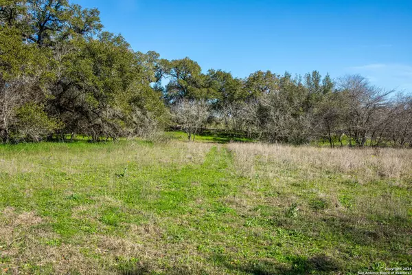 Sutherland Springs, TX 78161,+/- 10 ACRES County Road 332