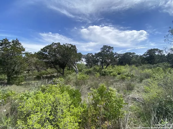 Mico, TX 78056,LOT 32 PR 2775