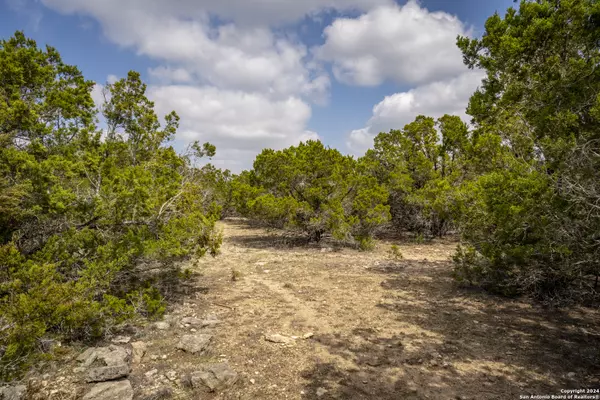 Spring Branch, TX 78070,551 DEER CRK