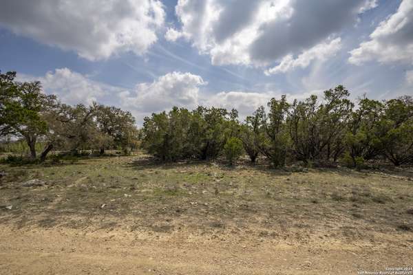 Spring Branch, TX 78070,599 DEER CRK