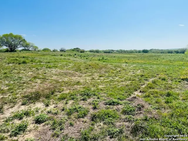 132 County Road 135, George West, TX 78022