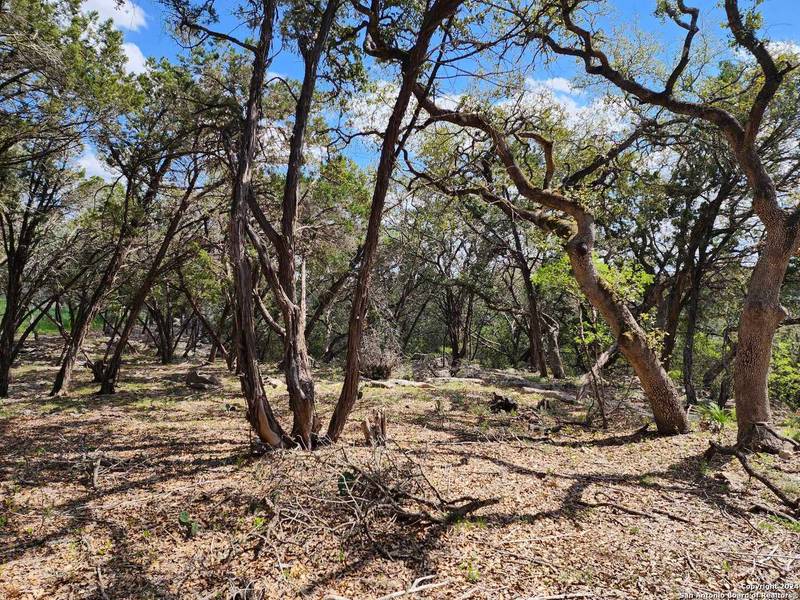 LOT 18 Forest Lake Dr, Spring Branch, TX 78070