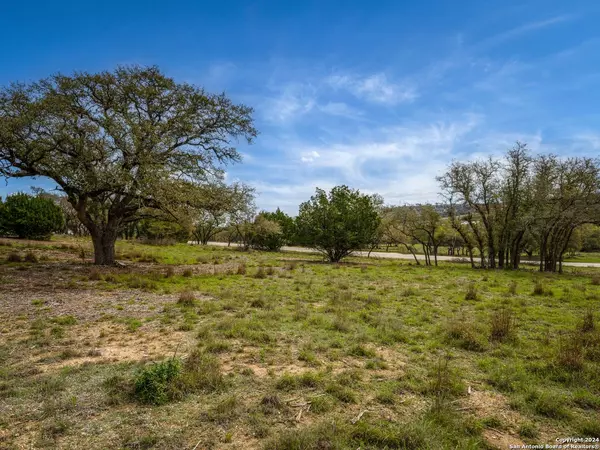 Blanco, TX 78606,LOT 66 Majestic Hills Drive