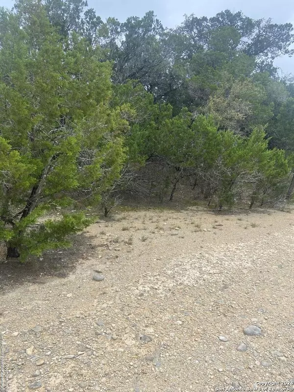 Bandera, TX 78003,LOT 235 Center Point