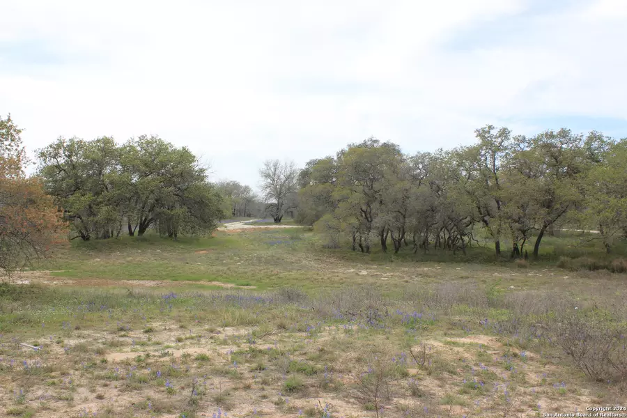 818 Encino Way, Natalia, TX 78059