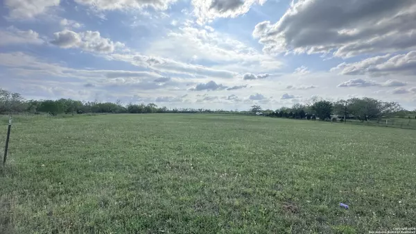 1 COUNTY RD # 163, Elmendorf, TX 78112