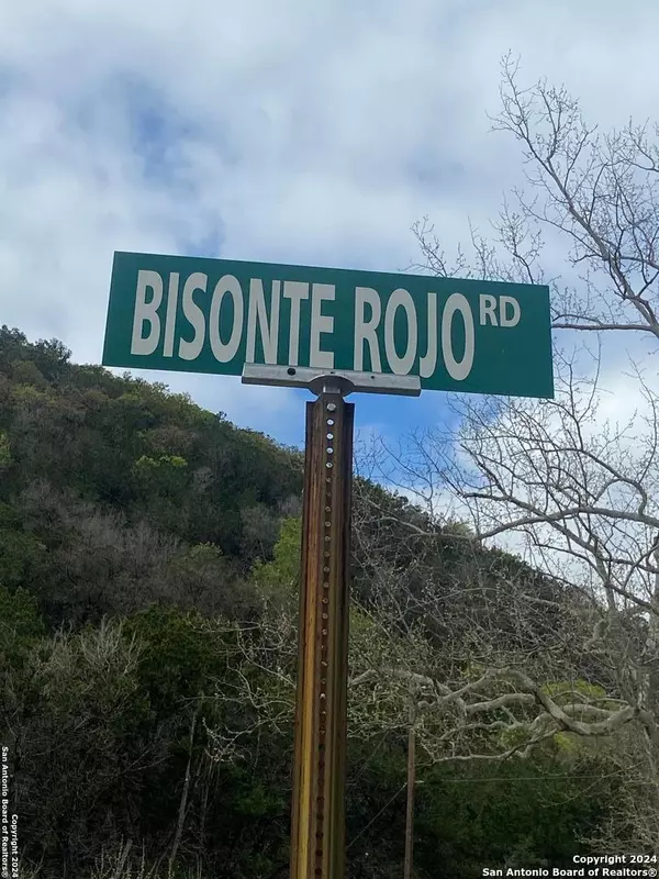 Medina, TX 78055,TBD Bisonte Rojo   (Mesa Verde Park)