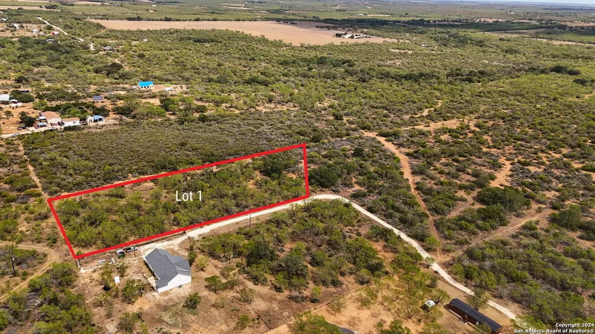 Devine, TX 78016,0 FM 1343 Lot 1