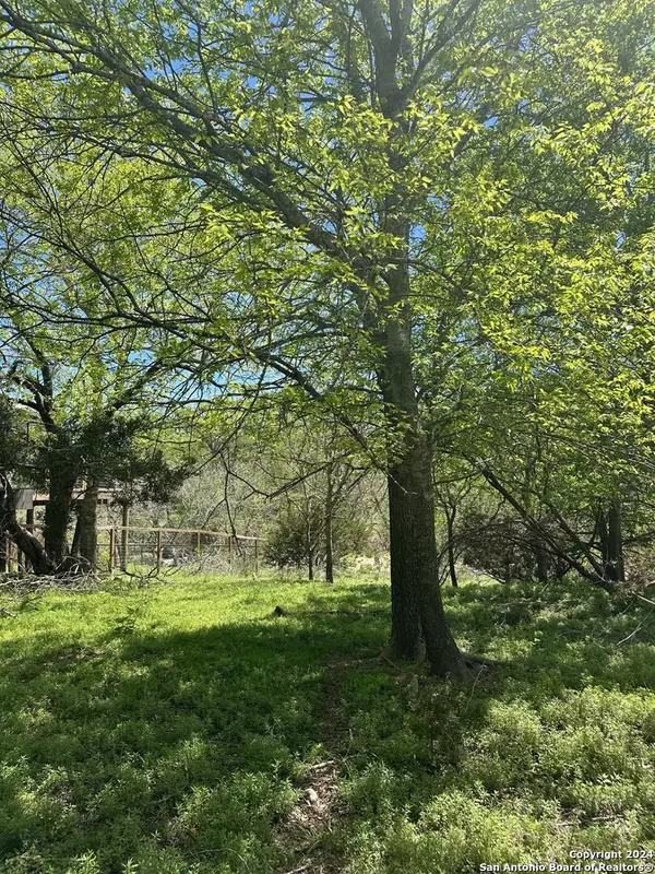 Bandera, TX 78003,LOT 348 RIVER BEND RD