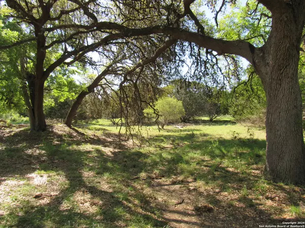 Bandera, TX 78003,LOT 772 Hager Ridge