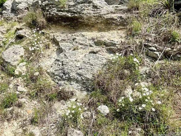 Bulverde, TX 78163,2342 BOBCAT DR