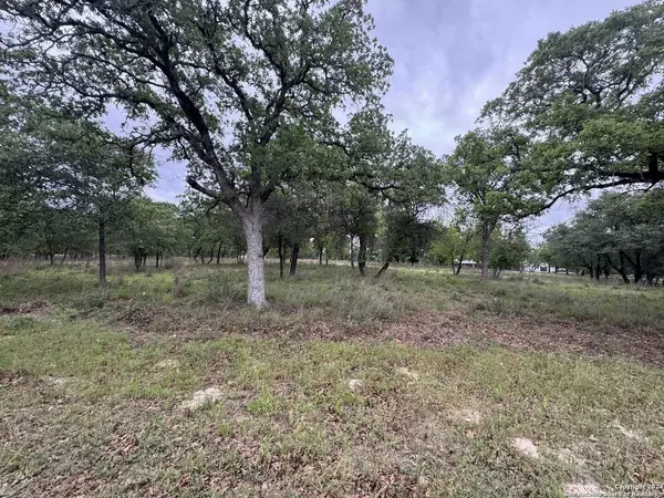 Floresville, TX 78114,566 CHERRY RDG