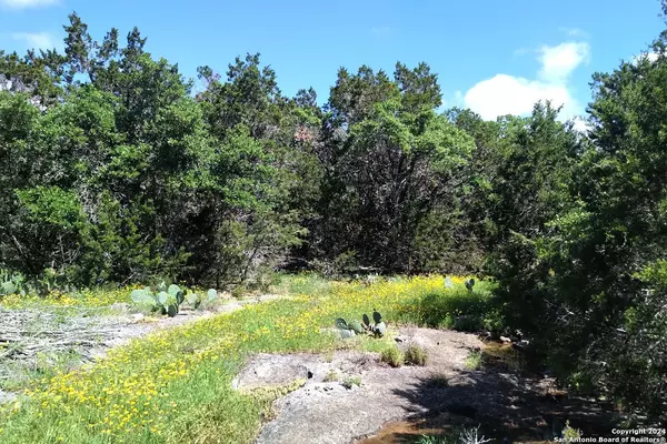 Blanco, TX 78606,5860 RANCH ROAD 32