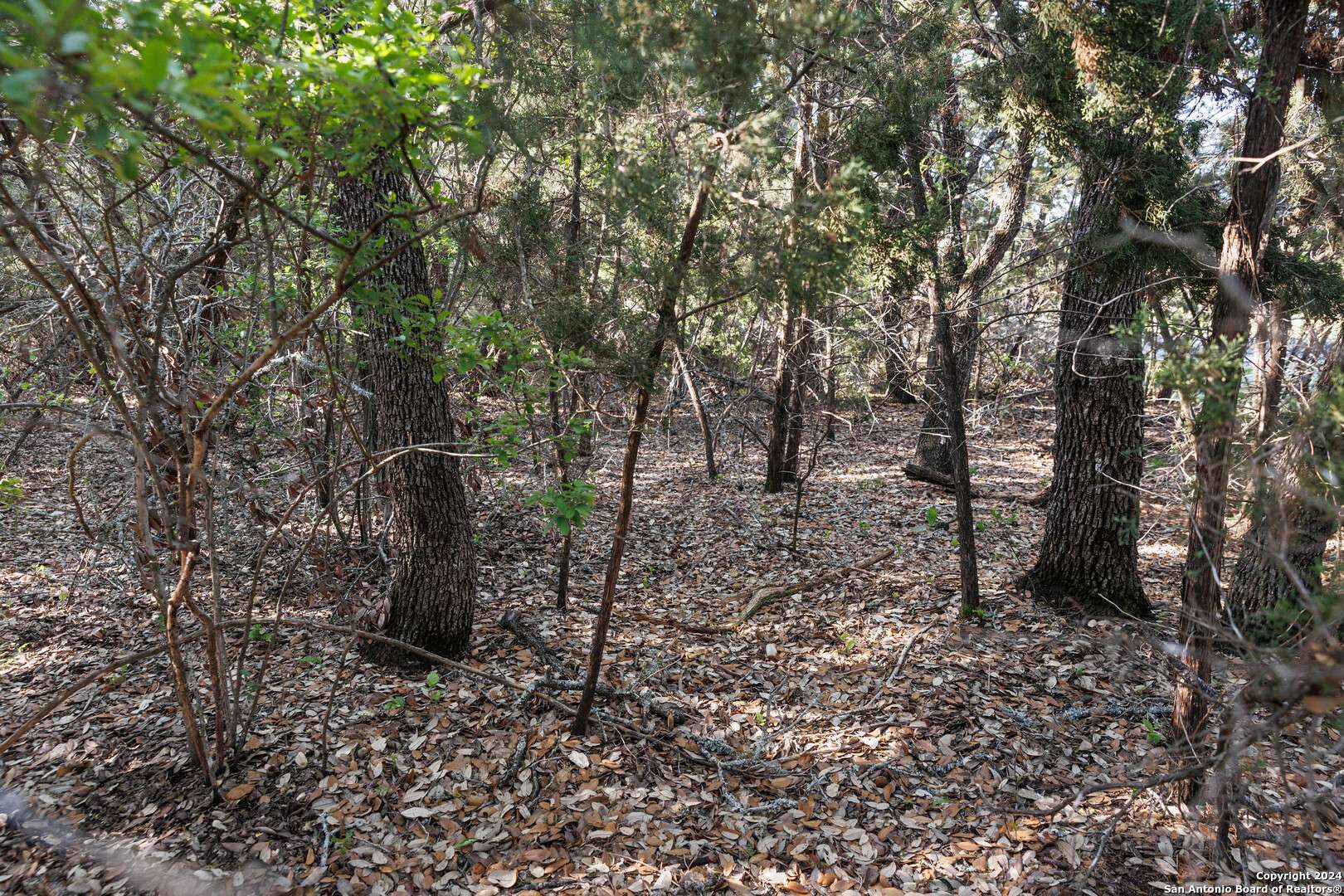 Spring Branch, TX 78070,1058 INDIAN HOLW