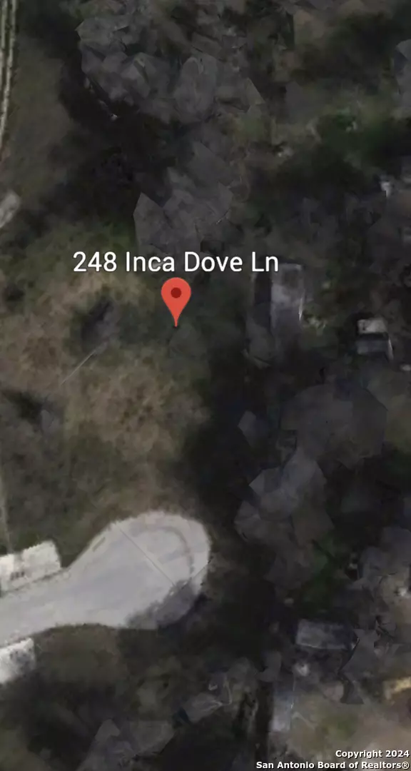 Mcqueeney, TX 78123,248 inca dove