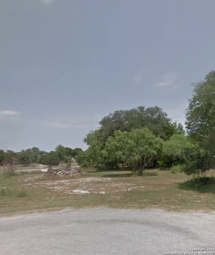 Mcqueeney, TX 78123,248 inca dove