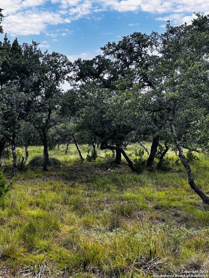 Boerne, TX 78006,106 Country Meadow Dr
