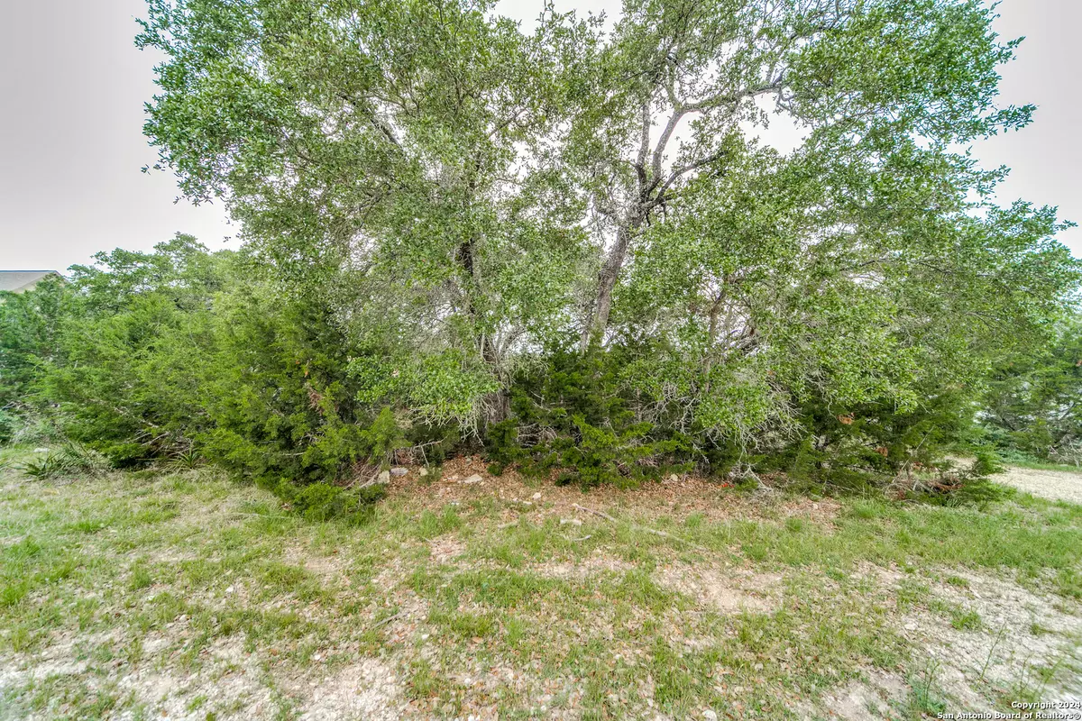 San Antonio, TX 78260-5374,LOT 5 & 6 SUNNY MEADOW