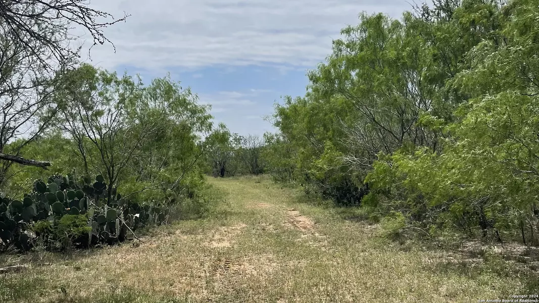 LOT 8 CR 327, Jourdanton, TX 78026