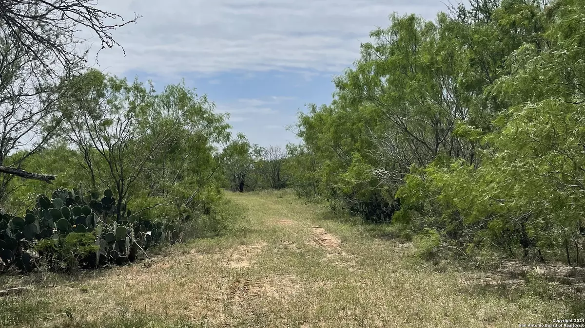 Jourdanton, TX 78026,LOT 8 CR 327