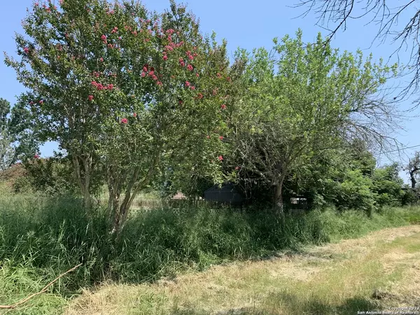 Pleasanton, TX 78064-3802,1404 W GOODWIN ST