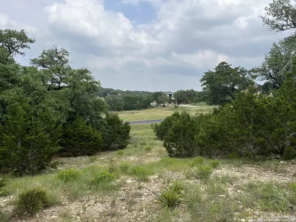 Canyon Lake, TX 78133,737 Caballo Trail