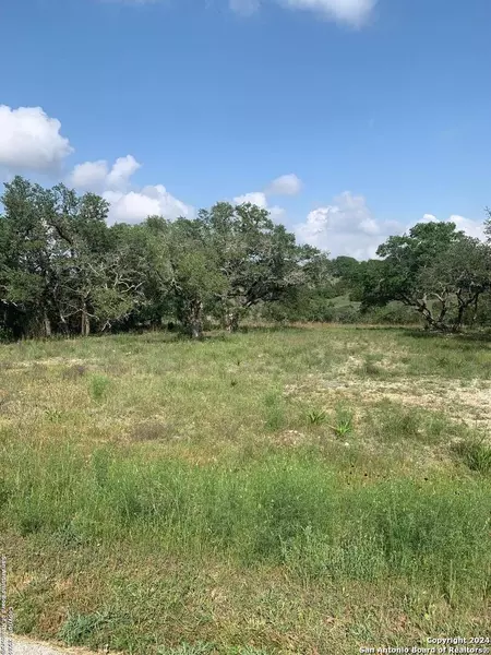 136 Gadwall Way, Spring Branch, TX 78070