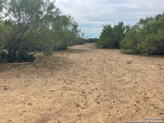 Jourdanton, TX 78026,21 County Road 329