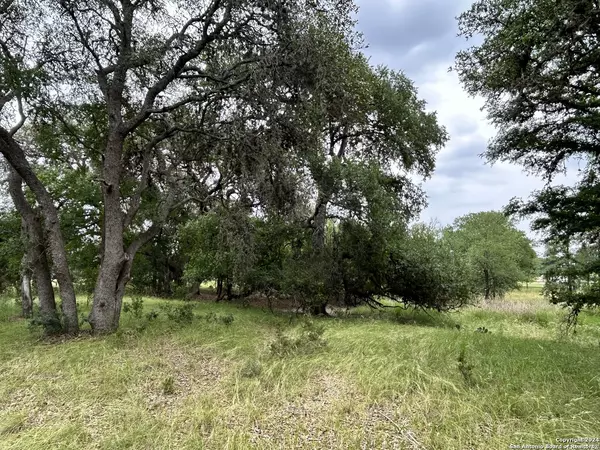 Bandera, TX 78003,513 Buckskin Trail