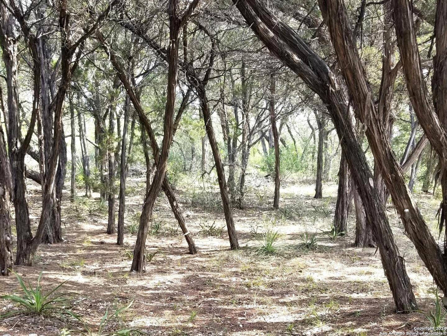 Mico, TX 78056,115 Pr 1733