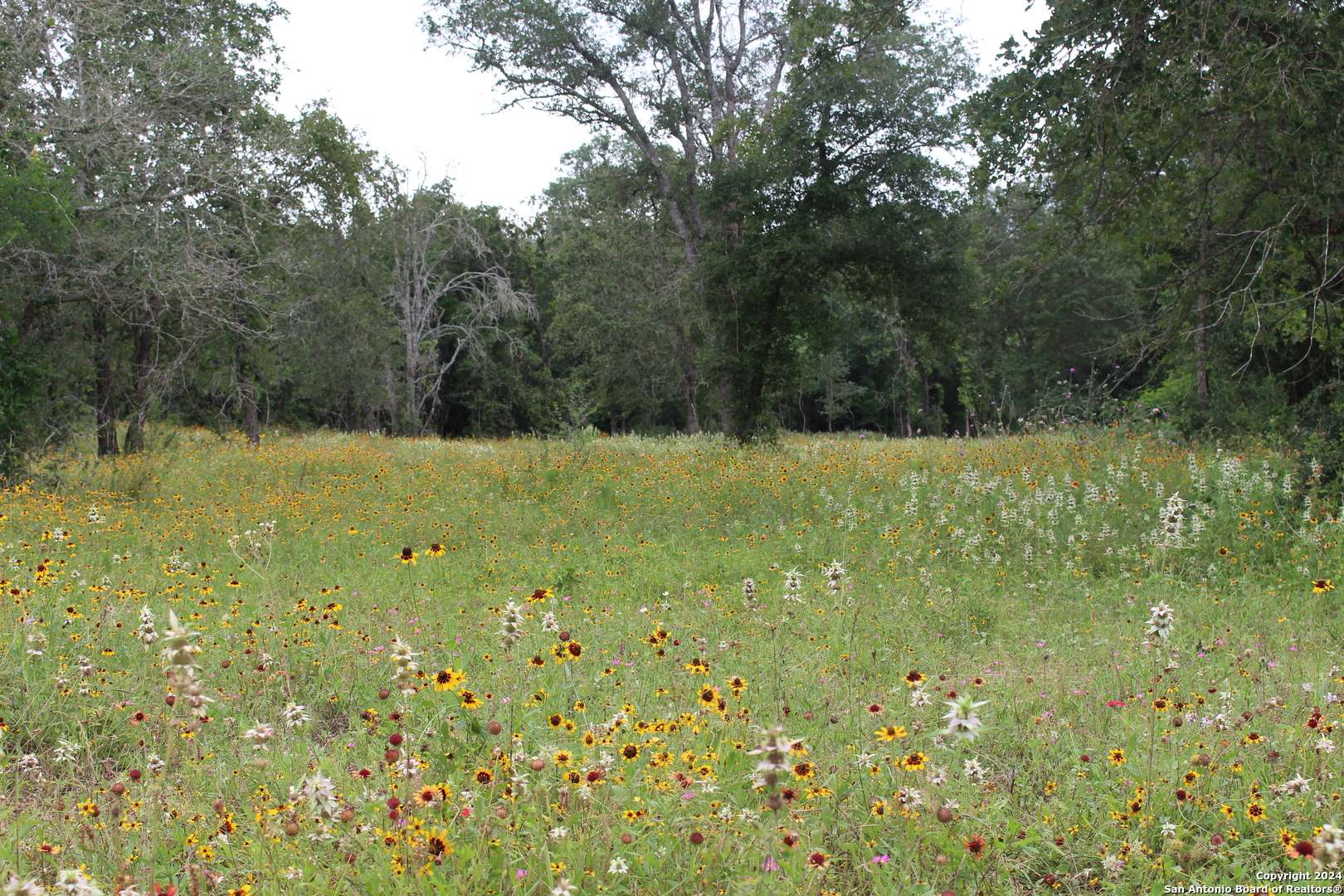TBD Twin Creeks Rd, Seguin, TX 78155