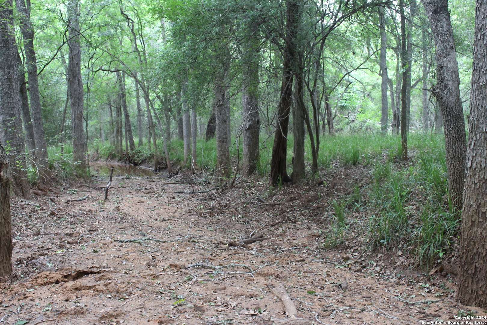 Seguin, TX 78155,TBD Twin Creeks Rd