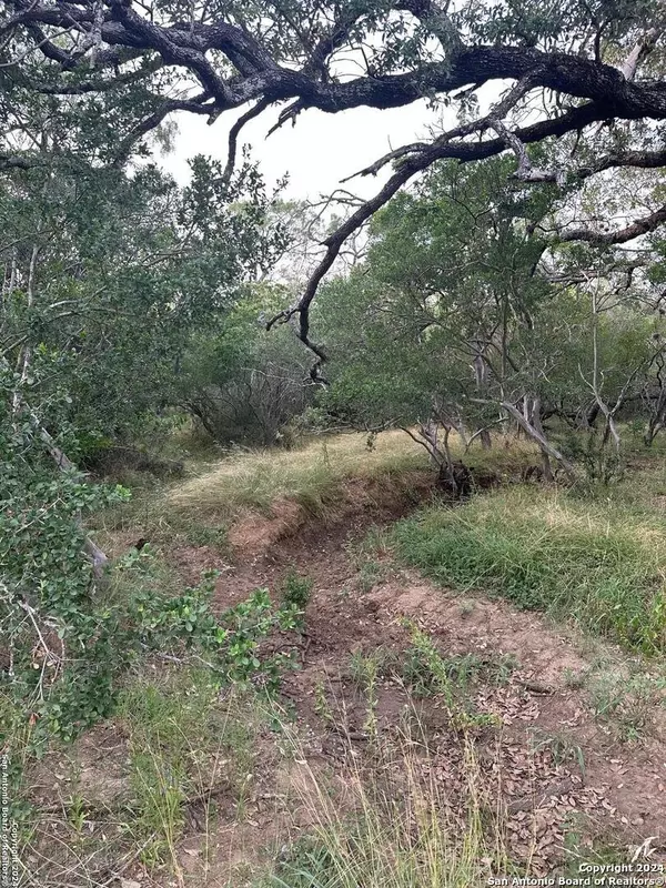 San Antonio, TX 78263,7507 New Sulphur Springs