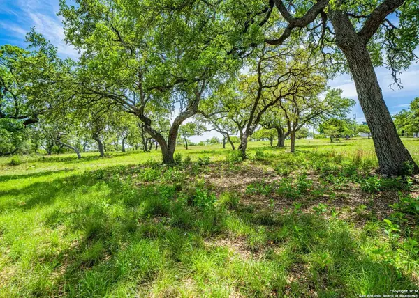 Boerne, TX 78006,000 Oak View Drive