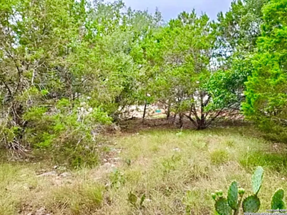 Blanco, TX 78606,119 John Bird