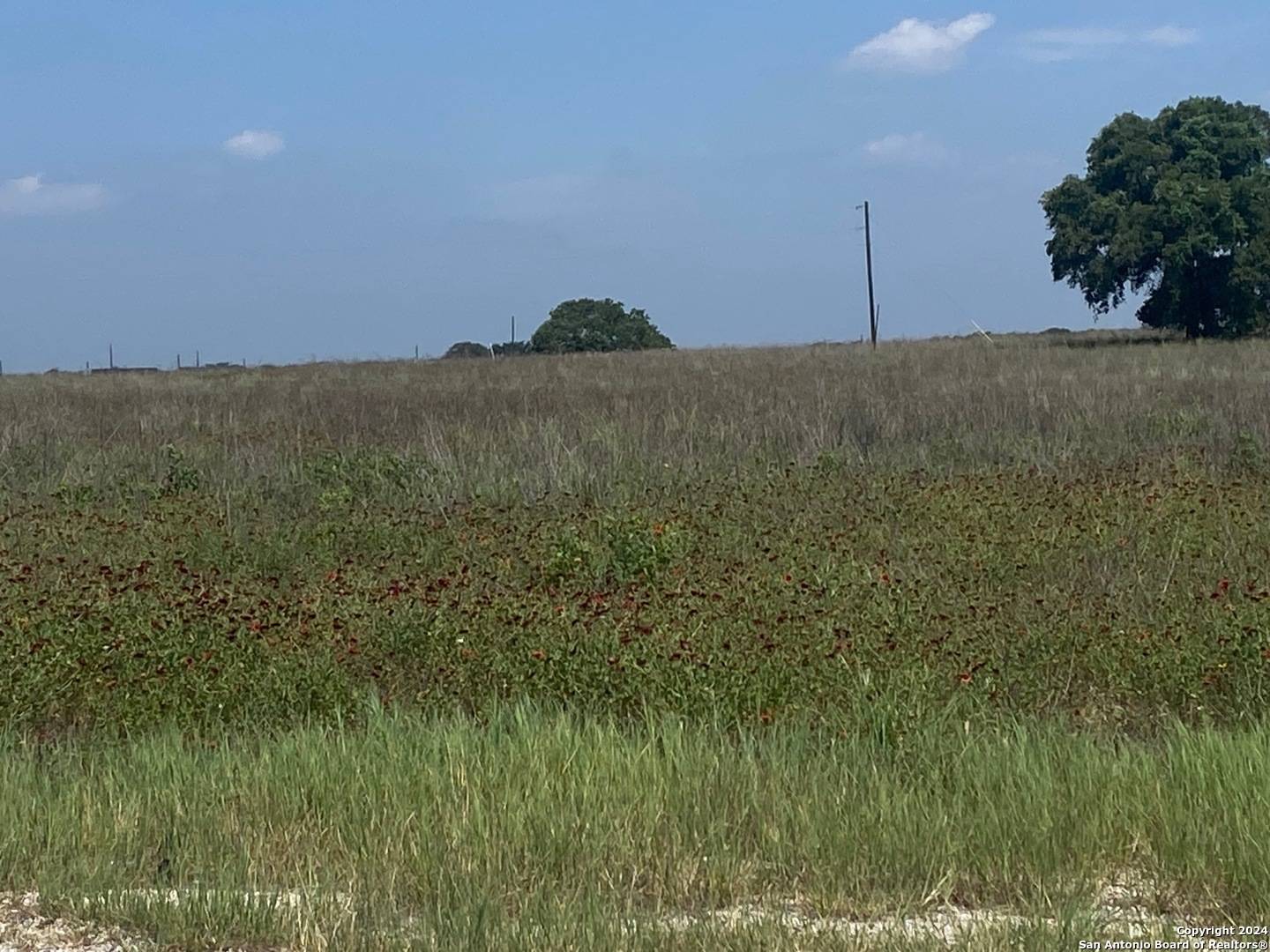 La Vernia, TX 78121,1017 AUTUMN MIST LN