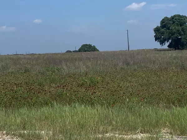 La Vernia, TX 78121,1017 AUTUMN MIST LN