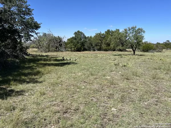 Eldorado, TX 76936,508 Blackbuck Dr