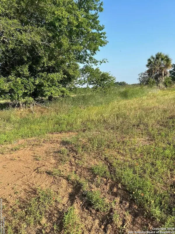 Atascosa, TX 78002,14812 LADD ROAD