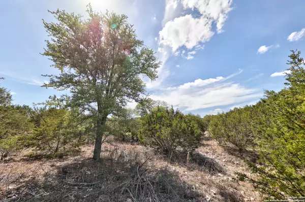 Hunt, TX 78024,TRACT 5 Rocky Top Rd