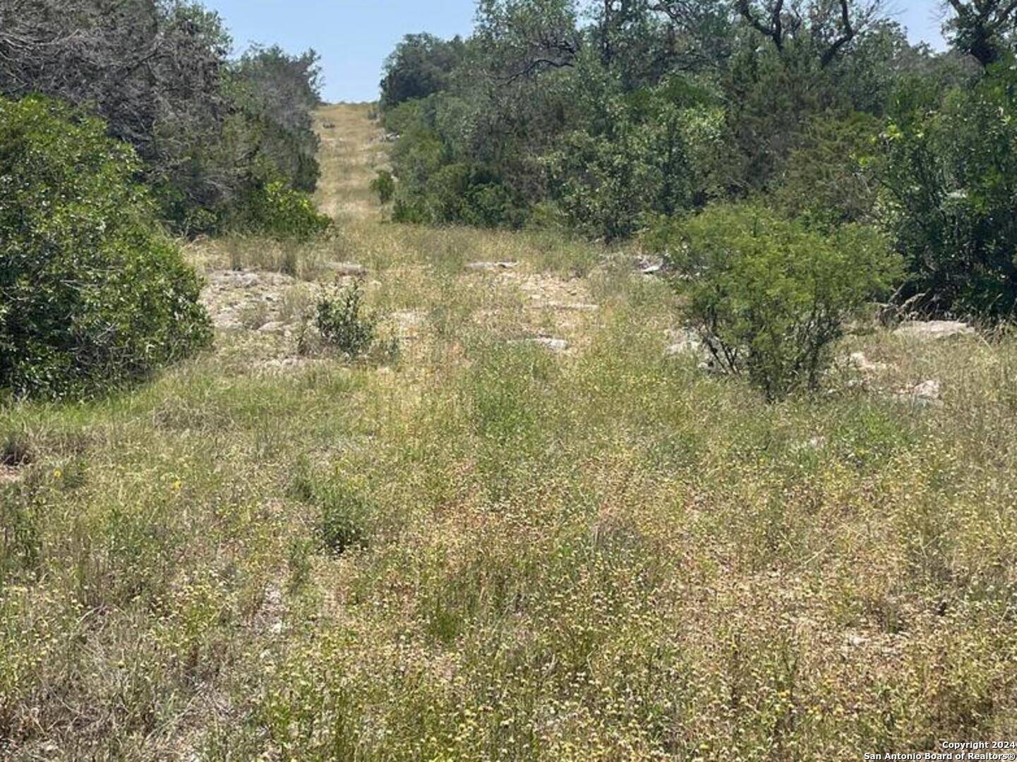 Hondo, TX 78861,LOT 200 Valley Oaks Ranch