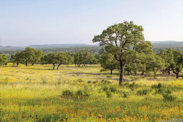 Fredericksburg, TX 78624