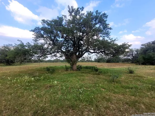 Floresville, TX 78114-5049,LOT 2 OF 7 Bar R Lane