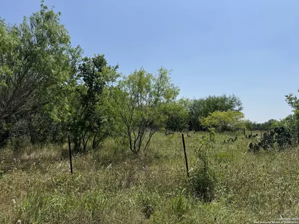 Stockdale, TX 78160,4602 FM 1107, Tract 1